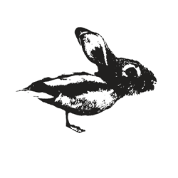 duck-rabbit-diamond